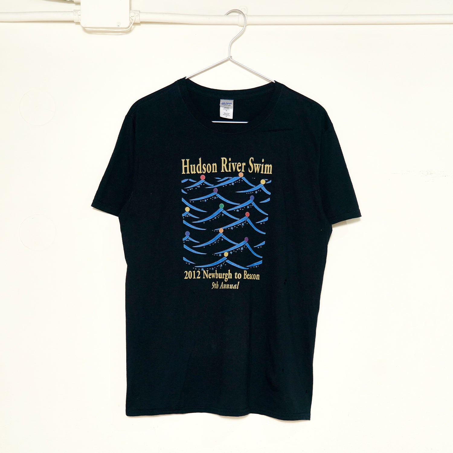 Hudson River Swim T-shirt