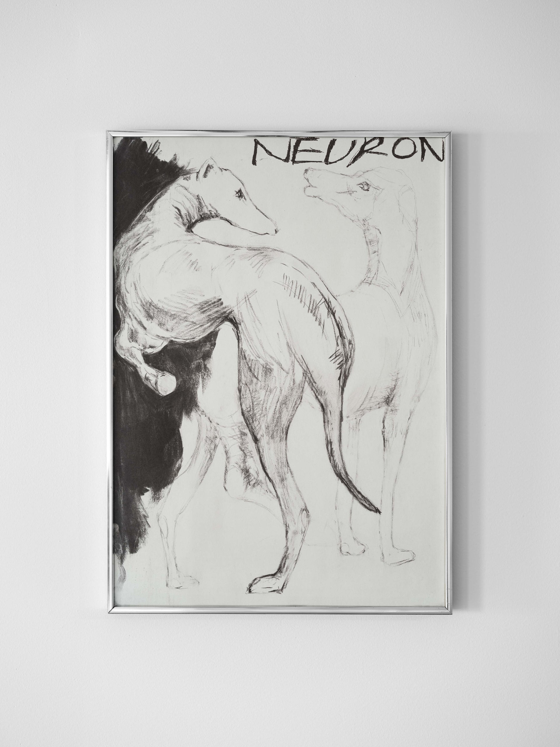 NEURON