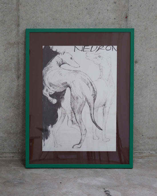 【SOLD OUT】 NEURON + FRAME